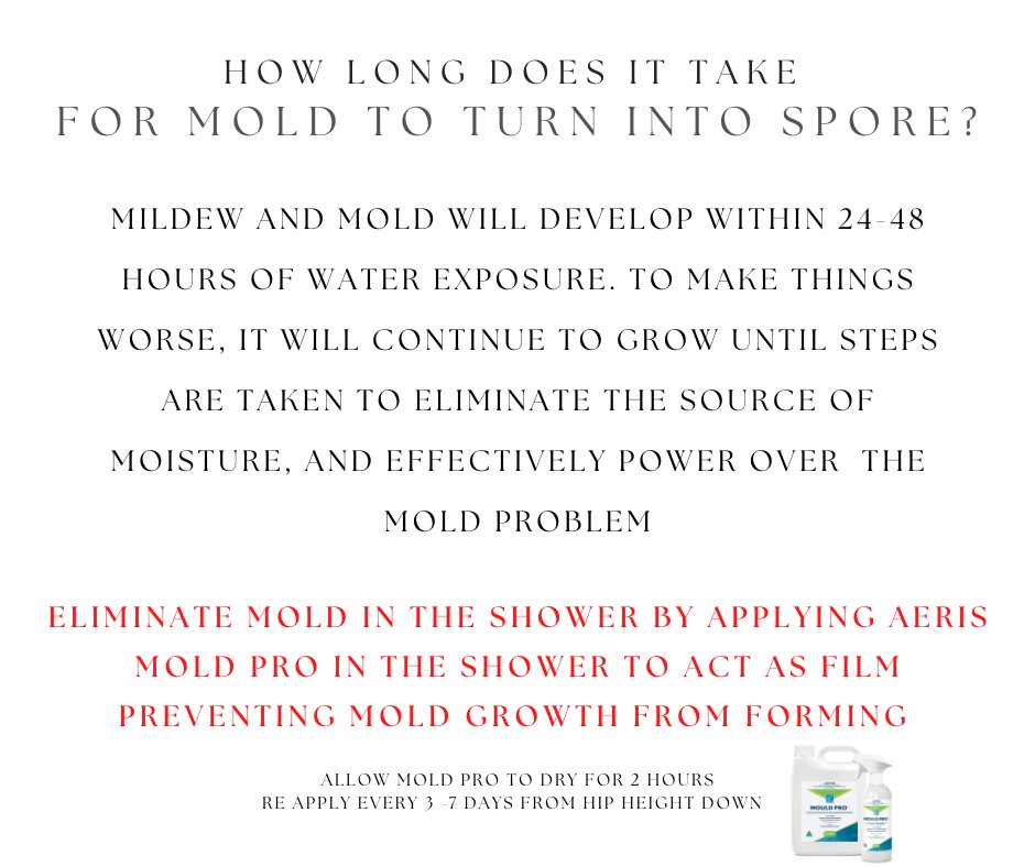 how-long-does-mold-take-to-grow-into-a-spore-the-shyn-shop