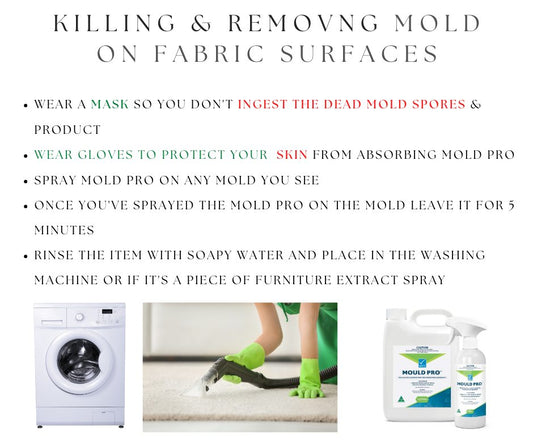 KILLING MOLD ON FABRIC SURFACES