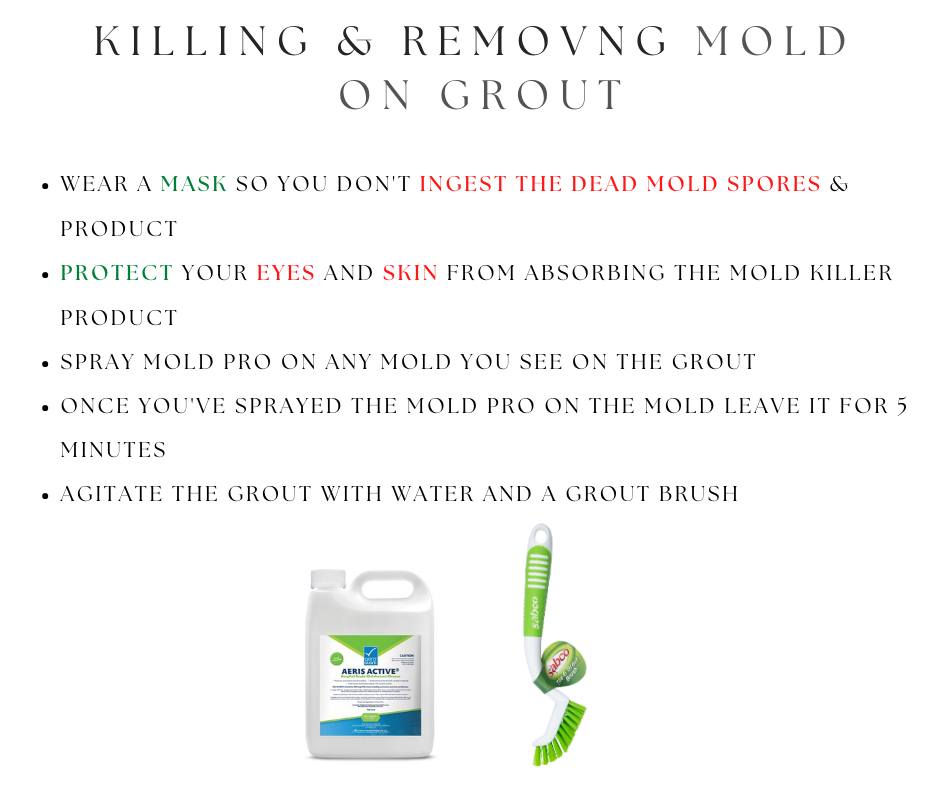 KILLING AND REMOVING MOLD ON GROUT