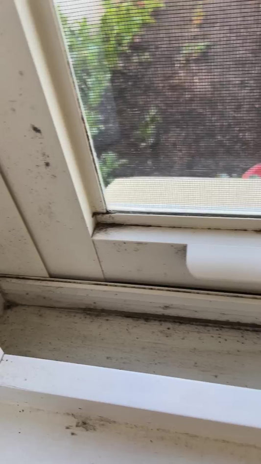 GETTING RID OF MOULD ON WINDOWS