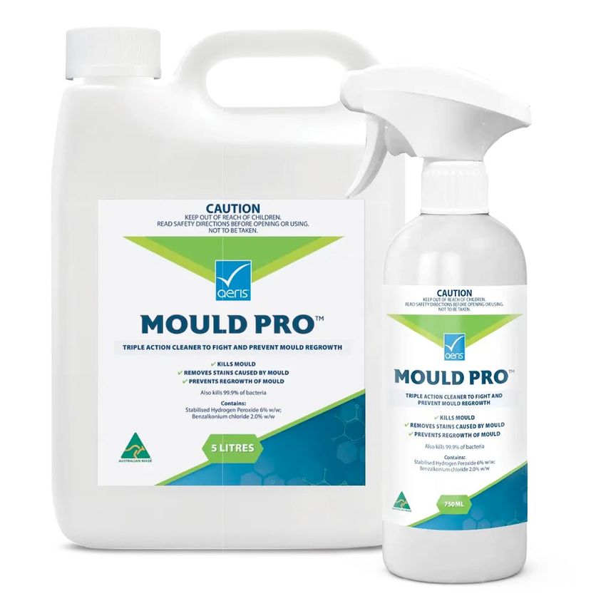 Killing Mold with Mold Pro