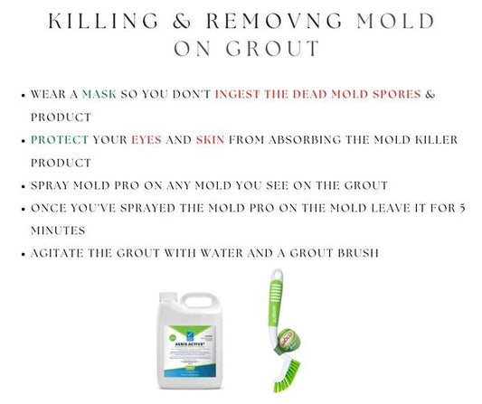 KILLING AND REMOVING MOLD ON GROUT