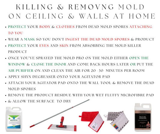 WHEN KILLING & REMOVING MOLD ON WALLS AND CEILINGS IF YOU'RE NOT CALLING IN A PROFESSIONAL